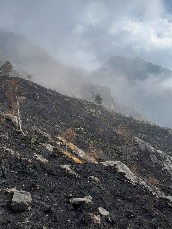 Le prime foto del Monte Barone dopo la distruzione dell’incendio