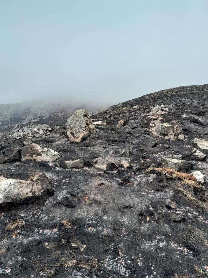 Le prime foto del Monte Barone dopo la distruzione dell’incendio
