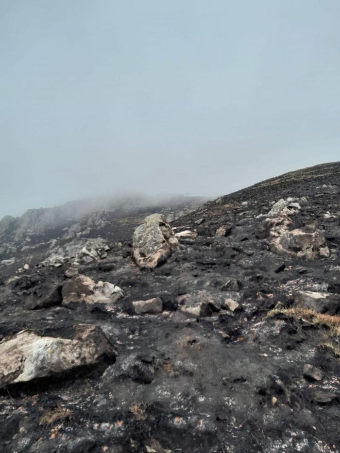 Le prime foto del Monte Barone dopo la distruzione dell’incendio