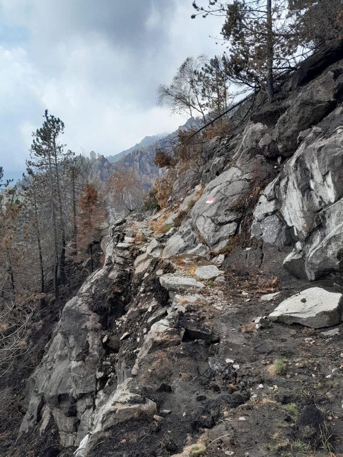 Le prime foto del Monte Barone dopo la distruzione dell’incendio