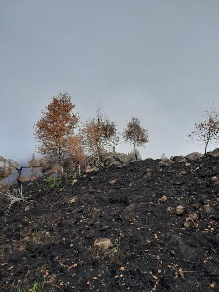 Le prime foto del Monte Barone dopo la distruzione dell’incendio