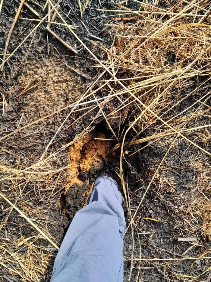 Le prime foto del Monte Barone dopo la distruzione dell’incendio