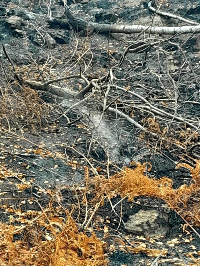 Le prime foto del Monte Barone dopo la distruzione dell’incendio