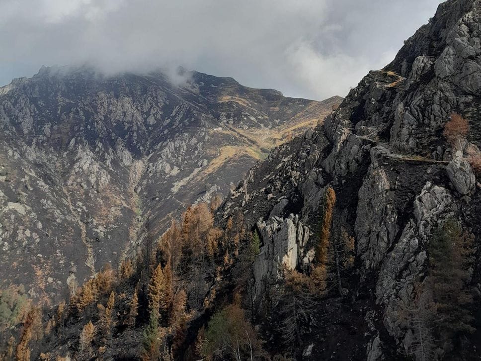 Le prime foto del Monte Barone dopo la distruzione dell’incendio