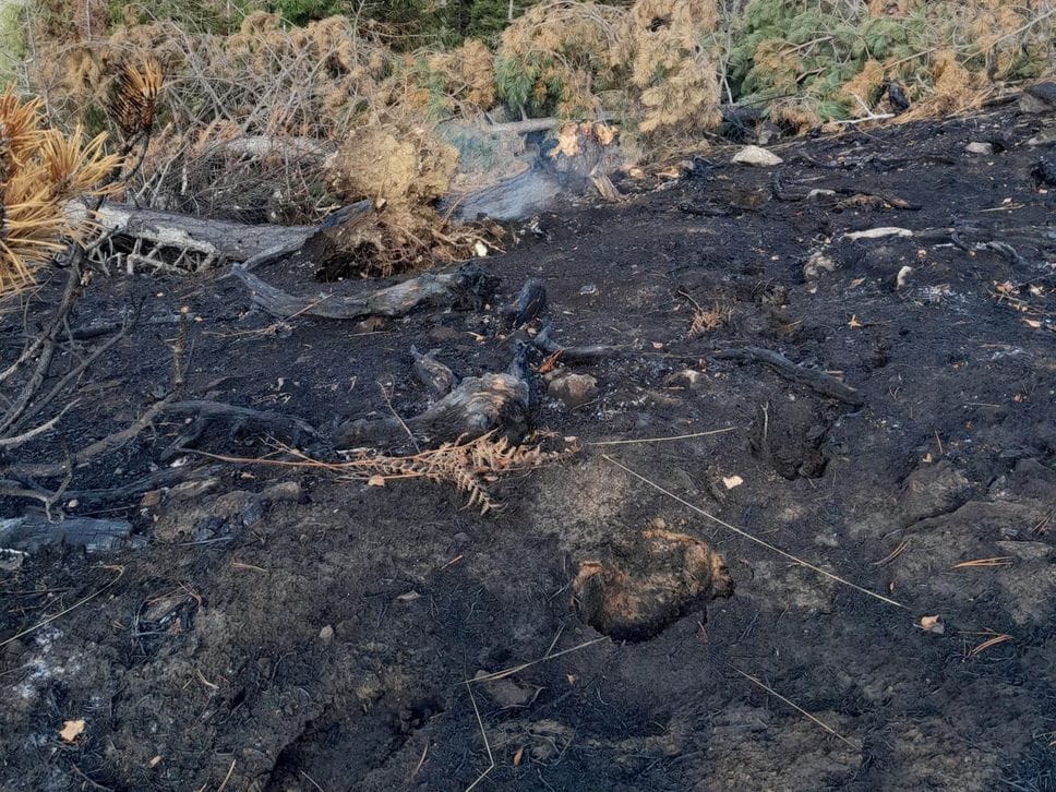 Le prime foto del Monte Barone dopo la distruzione dell’incendio