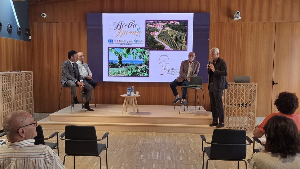 Il Biellese si scopre terra di vino: parte il censimento delle cantine
