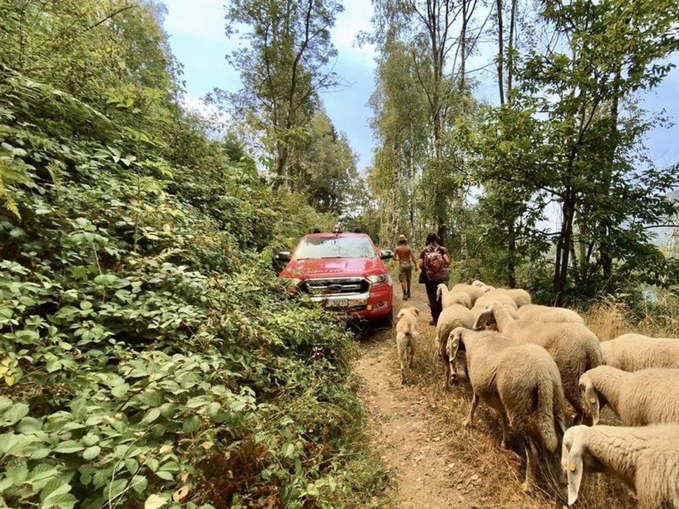 Le piogge non fermano l’incendio sul Monte Barone