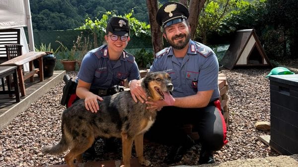 I carabinieri salvano un cane che era scappato da casa nella notte