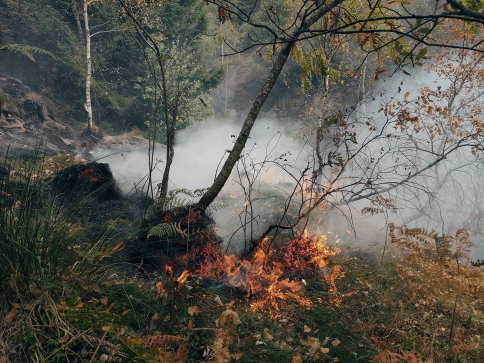 Incendio sul Monte Barone, a rischio baite, strade e case