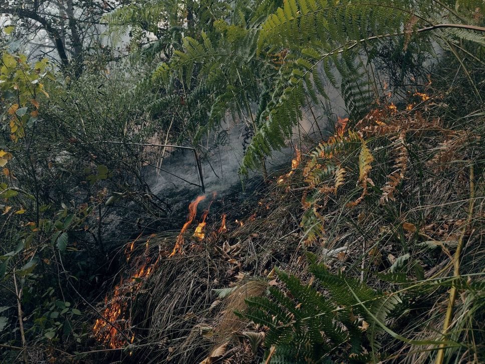 Incendio sul Monte Barone, a rischio baite, strade e case