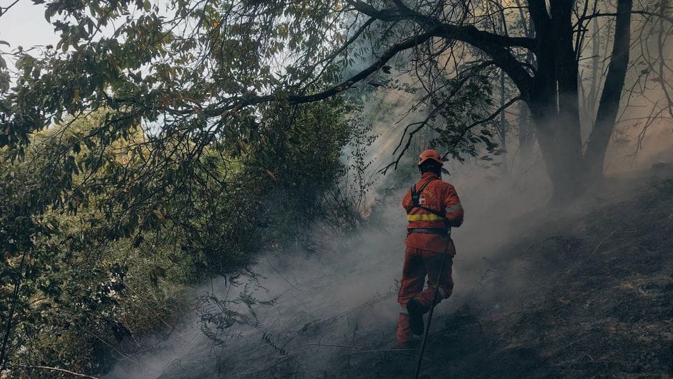 Incendio sul Monte Barone, a rischio baite, strade e case