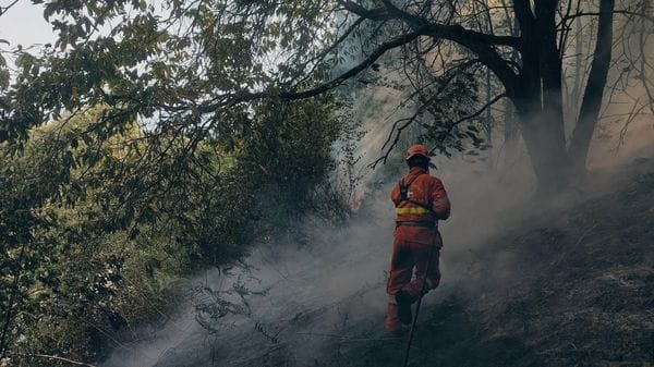 Incendio sul Monte Barone, a rischio baite, strade e case