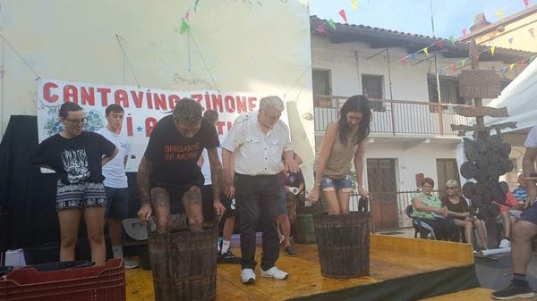 A Zimone “Cantavino” da record: la tradizione della vendemmia incanta e unisce il territorio. Fotogallery