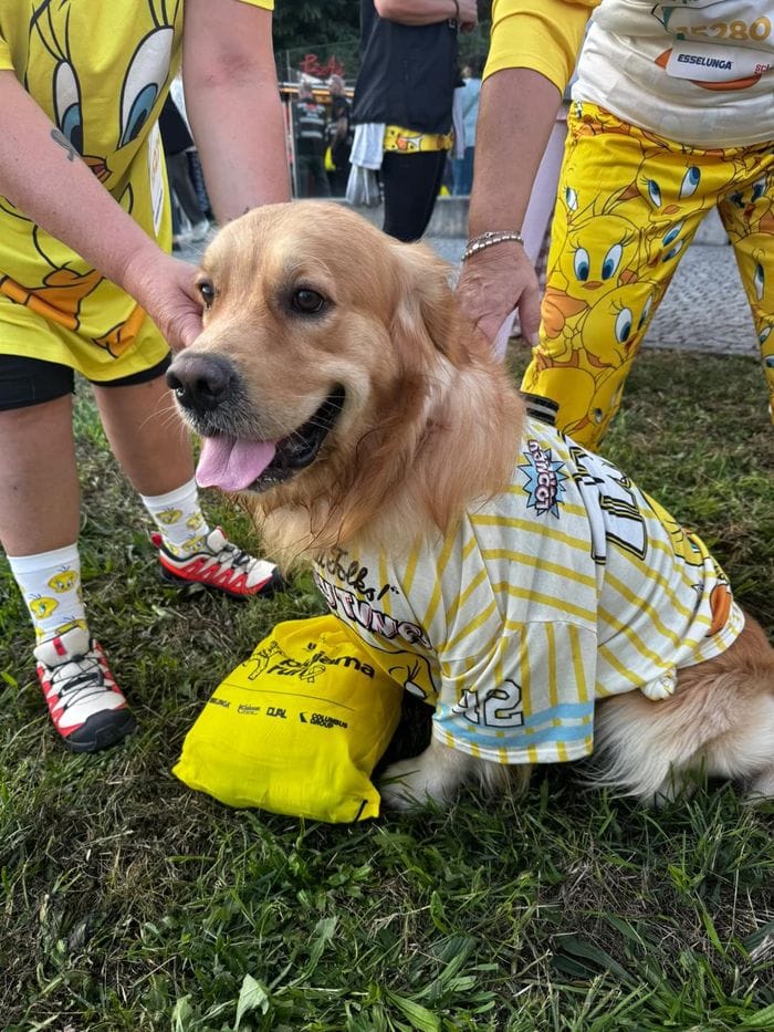 La fotogallery della “Pigiama Run” 2026