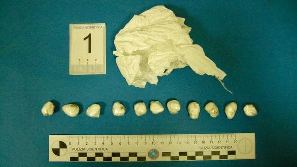 Trovato con 13 grammi di cocaina: arrestato dalla polizia