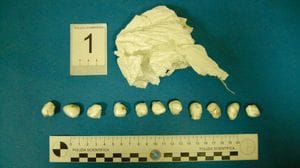 Trovato con 13 grammi di cocaina: arrestato dalla polizia