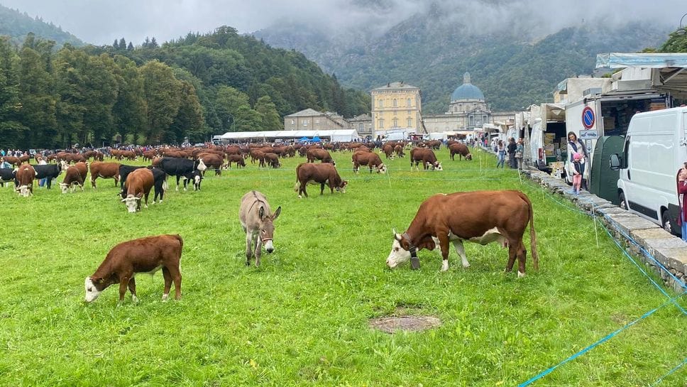 Nel weekend torna la “Fiera di San Bartolomeo”