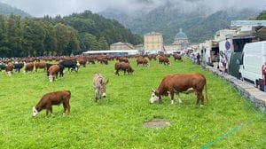 Nel weekend torna la “Fiera di San Bartolomeo”